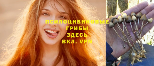 прущие грибы Алзамай