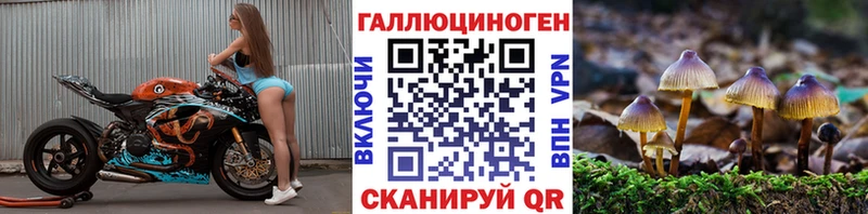 Галлюциногенные грибы Psilocybine cubensis  Павлово 