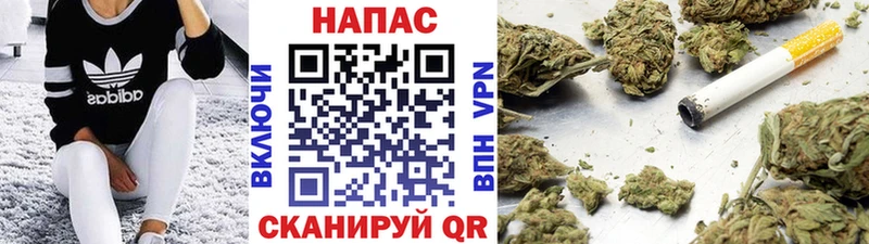 Шишки марихуана семена  Павлово 